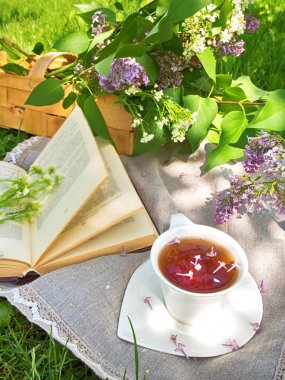 Yeşil çim seyahat tatil konsepti üzerinde bir parkta bir ekose üzerinde çay pişirme kitabı ile Piknik