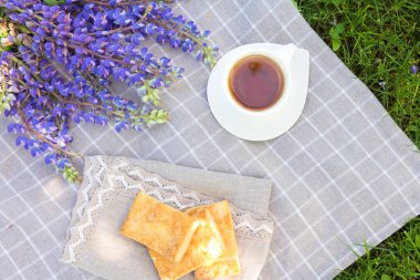Yeşil çim seyahat tatil konsepti üzerinde bir parkta bir ekose üzerinde çay pişirme kitabı ile Piknik