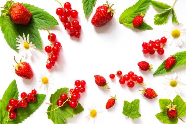 Bir çilek, kırmızı frenk üzümü, yaprakları, nane ve papatyalar bir ışık arka plan karşı meyve berry desen alanı kopyalamak için 