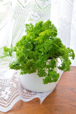 Rustik bir tarzda ahşap ışık arka plan üzerinde sulu taze kokulu yeşil maydanoz, bahçe kavramı