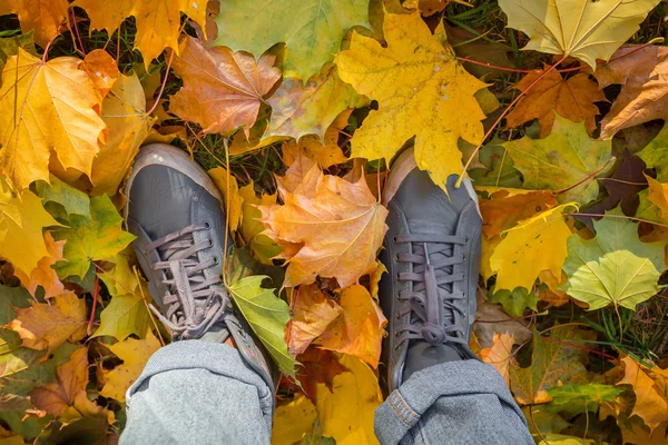 Jambes Adolescence Baskets Jeans Debout Sur Sol Avec Des Feuilles — Photo