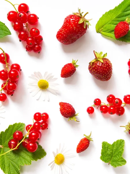 Modèle Baies Fruits Partir Une Fraise Groseille Rouge Feuilles Menthe — Photo