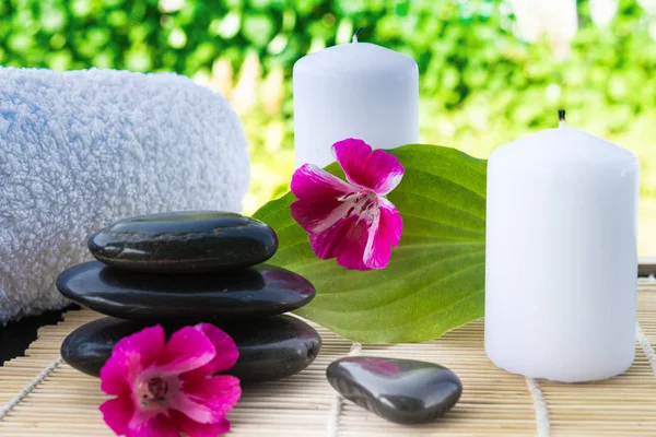 Candles Flowers Stones Background Greenery Spa Massage Relaxation — Stock Photo, Image