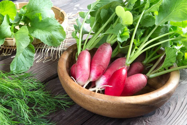 Perejil Perfumado Eneldo Lechuga Ingredientes Cebolla Verde Para Ensalada Vegetariana — Foto de Stock