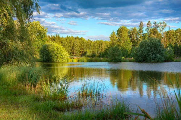 Spokojna Rzeka Przepływająca Delikatnie Przez Krajobraz Lasu Lokalizacja Lagen Białorusi — Zdjęcie stockowe