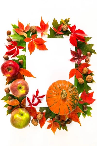 Autumn leaves and pumpkins on a white background, is isolated. Maple oak orange leaves , pumpkin for the Thanksgiving holiday. Autumn natural background. layout, with copy space. Flat lay,top view
