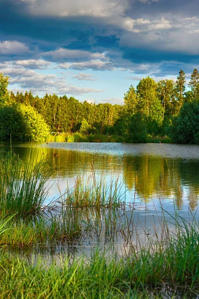 Spokojna Rzeka Przepływająca Delikatnie Przez Krajobraz Lasu Lokalizacja Lagen Białorusi — Zdjęcie stockowe