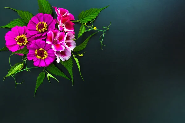 Blumen Und Blätter Auf Schwarzem Hintergrund — Stockfoto
