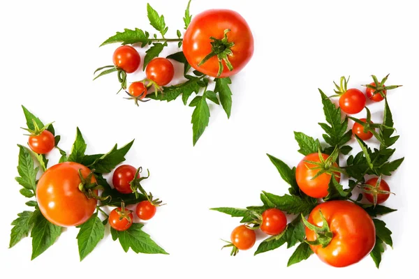 Fresh Cherry Tomatoes White Background Spices — Stock Photo, Image