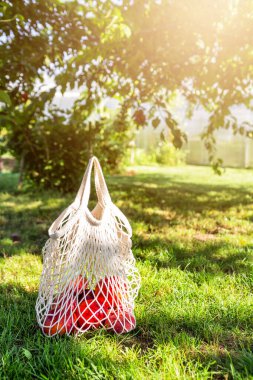 Meyveli alışveriş için eko poşetler doğada var. Sıfır atık, plastik yok. Yaratıcı fikir