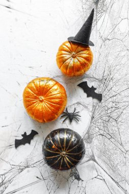 Cadılar Bayramı 'nda balkabakları, örümcekler, yarasalar, hediyeler. Yaratıcı şenlik düzlüğü.