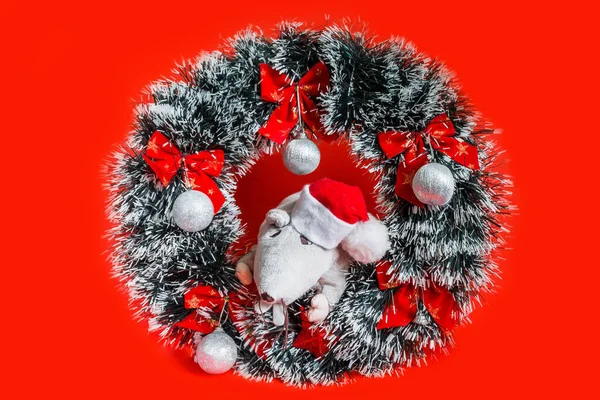 Symbol Kartki Świątecznej Roku 2020 Szczur Czapce Mikołaja Wygląda Wieńca — Zdjęcie stockowe