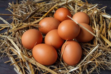 Kırsal Paskalya arkaplanı ve eski ahşap tahtada mesaj için boş alanı olan tavuk yumurtaları.