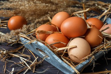 Kırsal Paskalya arkaplanı ve eski ahşap tahtada mesaj için boş alanı olan tavuk yumurtaları.