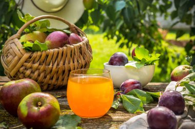 Güneşli bir öğleden sonra, kırsal bir bahçede piknikte elma suyu turtası kahve içmek, açık hava eğlencesi, seyahat ve yiyecek kavramı.