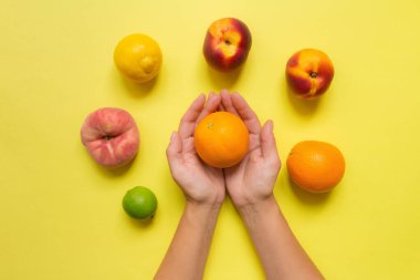 Kadın elleri portakalı ve turunçgiller, portakal, şeftali, şeftali, şeftali sarısı arka planda nektarin tutuyor. Düz üst görünüm
