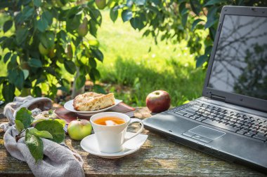 Ofisten kaçmak. Serbest çalışıyorum. Bilgisayarda çalışmak, kahve içmek, güneş ışığı ve arka planda yeşil bir teras.