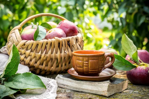 Saftige Reife Äpfel Einem Weidenkorb Und Eine Tasse Kaffee Auf — Stockfoto