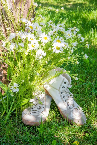 Weiße alte Stiefel im Gras neben dem Baumstumpf und ein Strauß Blumen von Feldkamilen, das Konzept des Tourismus und des Reisens mit einem Kopierraum — Stockfoto