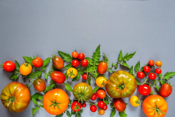 Food Vegetables Kompozycja Świeżych Pomidorów Liści Jasnoniebieskim Tle Miejsca Kopii — Zdjęcie stockowe