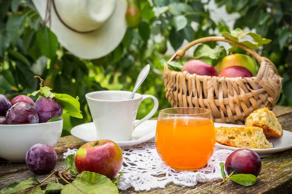 Comer Chá Café Torta Suco Maçãs Piquenique Natureza Jardim Rústico — Fotografia de Stock