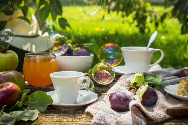 Вживання Яблучного Соку Пиріг Кавовий Чай Пікніку Природі Сільському Саду — стокове фото