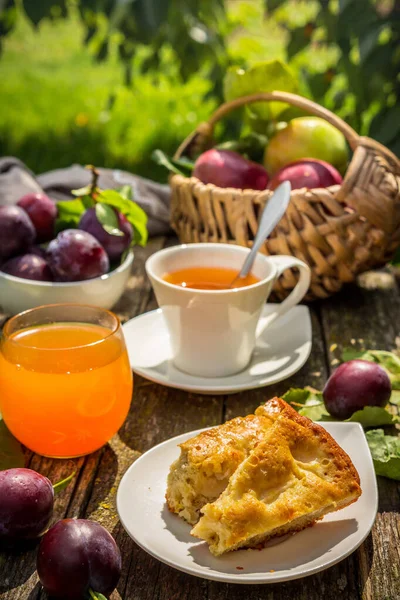 Eating apples juice pie coffee tea on a picnic in nature in a rustic garden on a sunny afternoon, the concept of outdoor recreation, travel and food