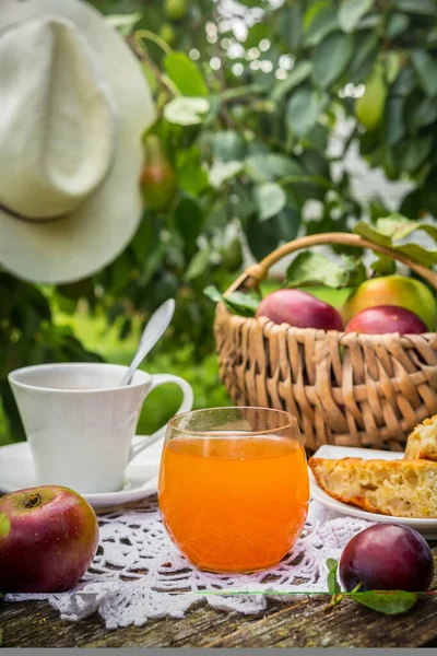 Mangiare Succo Mela Torta Caffè Pic Nic Natura Giardino Rustico — Foto Stock