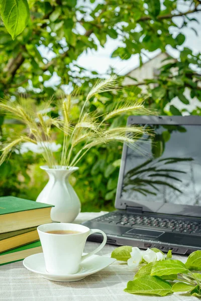 Eine Tasse Tee Ein Laptop Ein Computer Ein Büchertisch Garten — Stockfoto