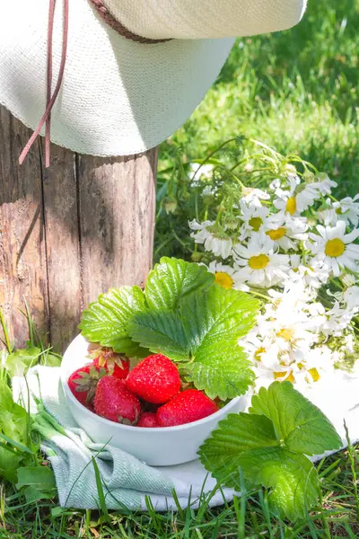 Fresas jugosas frescas en el jardín entre la hierba en un tazón blanco, el concepto de jardinería — Foto de Stock