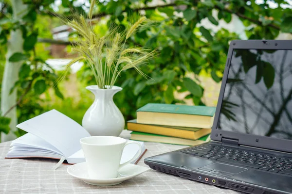 Cup Tea Laptop Computer Bookshine Table Garden Summer Morning Place — Stock Photo, Image