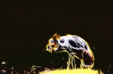 Gece gökyüzünde parlayan bir hayvan figürü