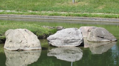 Kıyıya yakın suda gri taşlar