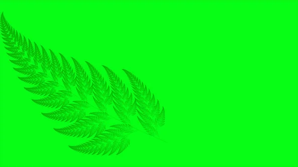Зелена Гілка Папороті Розташована Зеленому Тлі — стокове фото