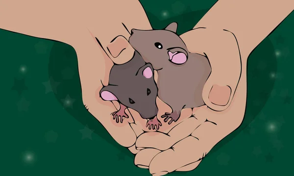 Año nuevo chino. Colección de ratas y ratones - silueta vectorial — Vector de stock