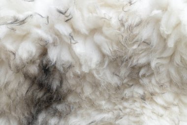 arka plan olarak hayvan kürk