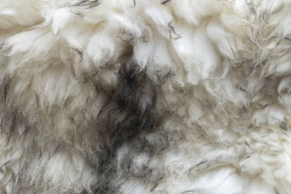 arka plan olarak hayvan kürk