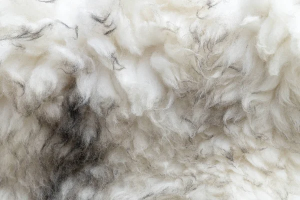 arka plan olarak hayvan kürk