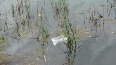 kir ve gölde kirlilik