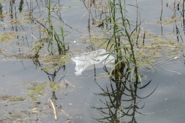 kir ve gölde kirlilik