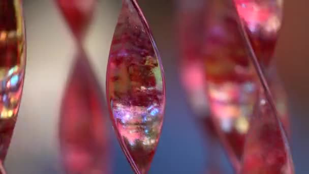 Prydnadsväxter Färgat Glas Sirmione Brescia Italien Juli 2018 — Stockvideo