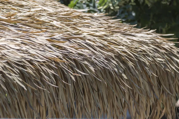 African Hut Roof — Stock Photo, Image