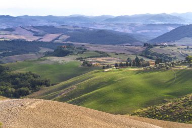 Yazın tepe manzarası