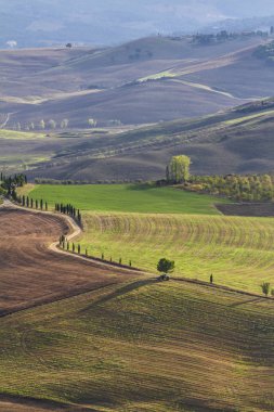Yaz sezonu dağlık manzara