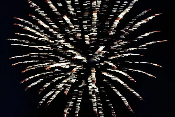 Firework Celebration Day — Stock Photo, Image