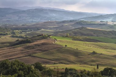 Yazın tepe manzarası