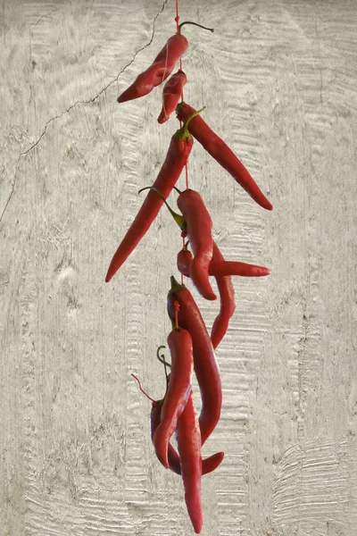 Wiszące Czerwonej Papryczki Chili — Zdjęcie stockowe