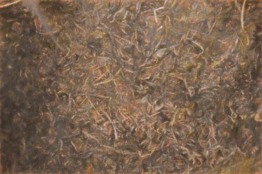 arka plan ve doku için tekstüre çim çim