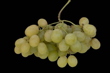 siyah arka plan üzerine izole grup üzüm