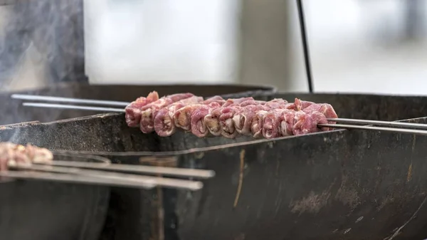 Szaszłyki Grilla Porze Lunchu — Zdjęcie stockowe